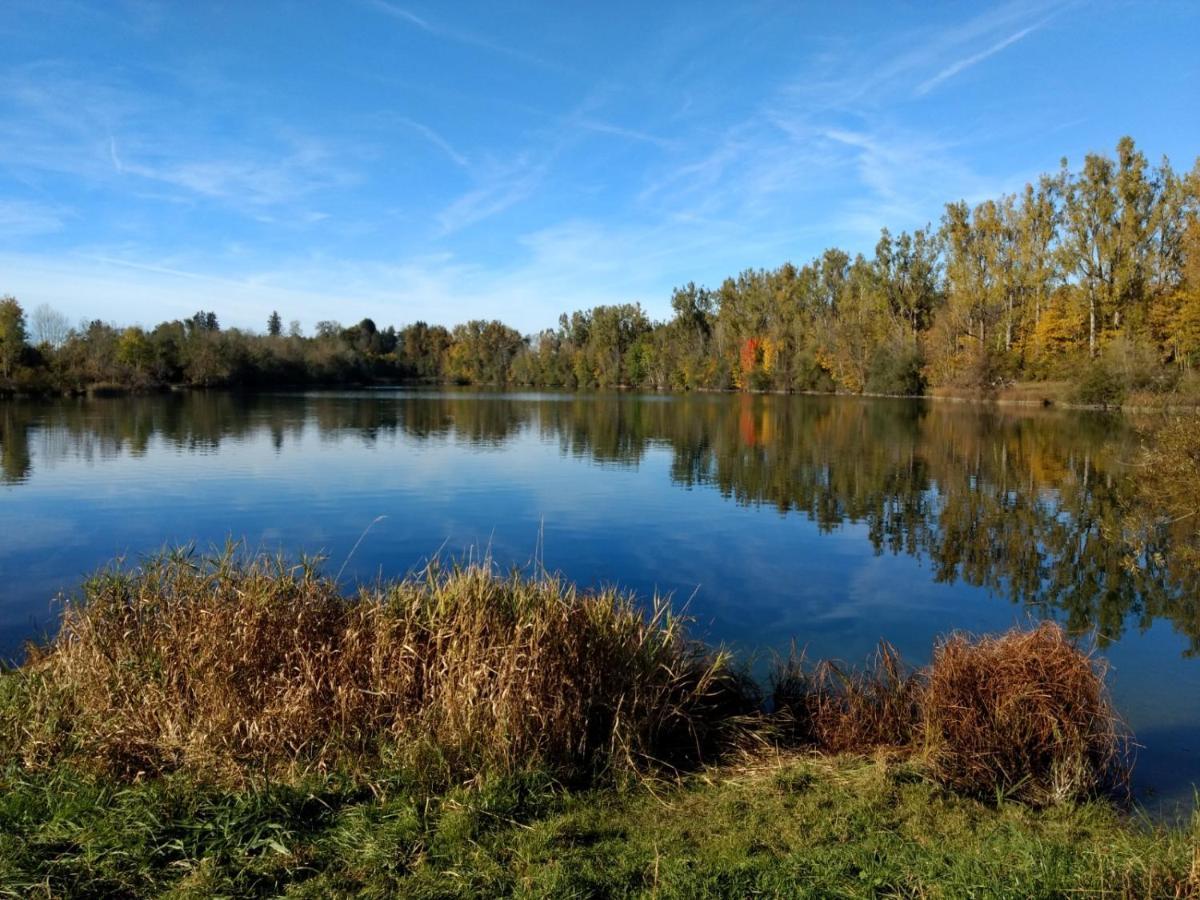 Апартаменти Eistobel Und Felderhalde Існи-ім-Алльгой Екстер'єр фото