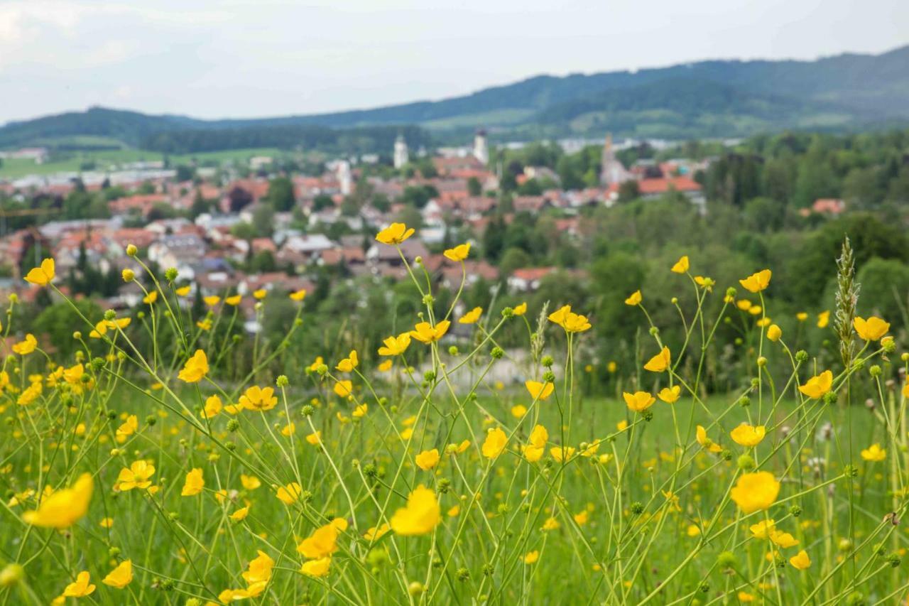 Апартаменти Eistobel Und Felderhalde Існи-ім-Алльгой Екстер'єр фото